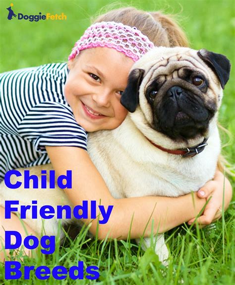 Growing Up Around Dogs Helps Children Because It Provides A Boost To