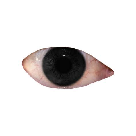 Weirdcore Eye Png Cottagecore Posters Dreamcore Weirdcore Png
