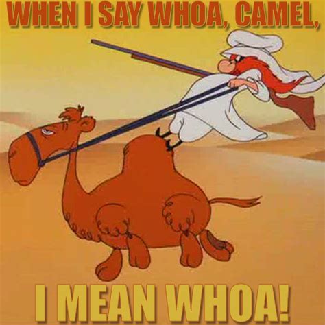 Sam Always Had Trouble With That Them There Camel Looney Tunes