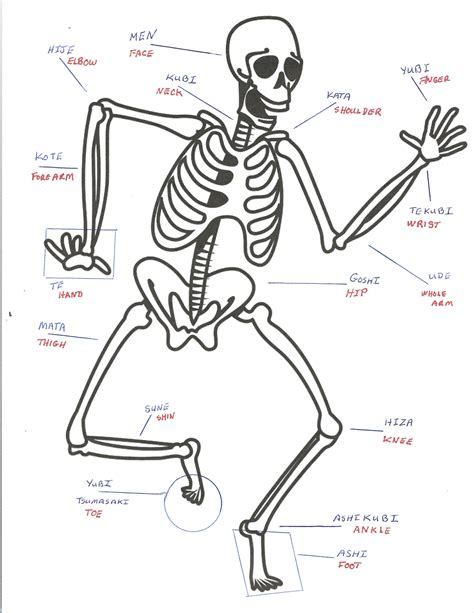 japanese body parts chart
