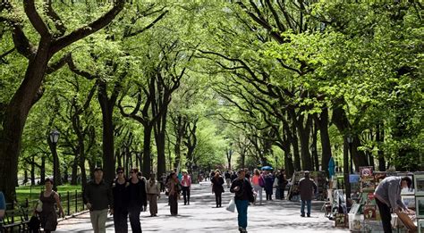 Urban Trees A Smart Investment In Public Health Thecityfix
