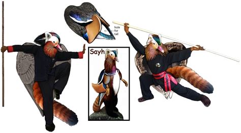Kung Fu Panduck Fursuit Idea By Swandog On Deviantart