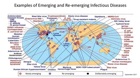 Emerging And Re Emerging Infectious Diseases Defined By The World Until