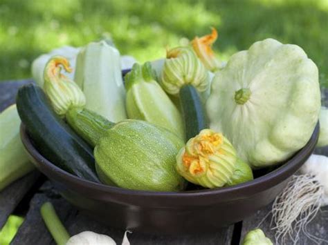 Wenn du keinen eigenen kompost hast kannst du organischen dünger auch kaufen. Zucchini pflanzen, pflegen und ernten - Mein schöner Garten