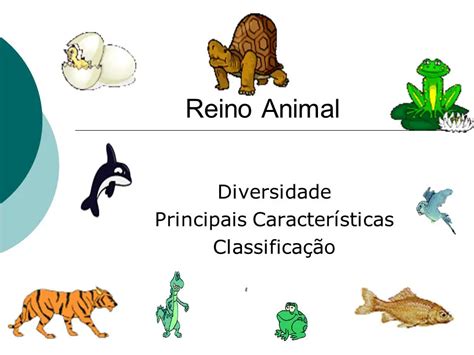 Características Do Reino Animália Gerais E Principais Animais