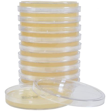 90mm Nutrient Agar Plates Pack Of 10