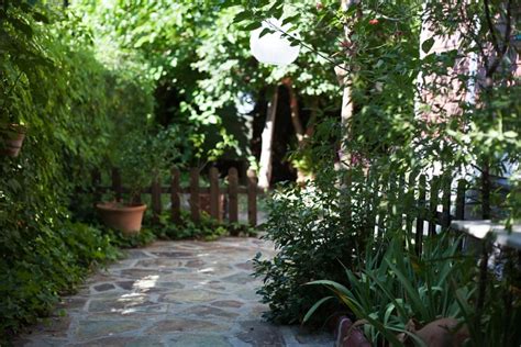 12 Spectacular Shady Corner Garden Ideas
