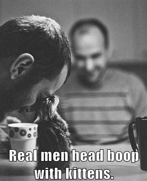 real men head boo with kittens