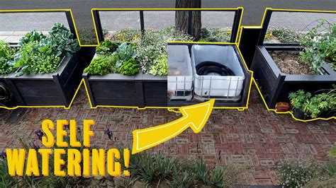 Stylish Self Watering Raised Garden Beds How To Build Youtube