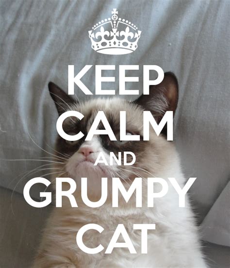 45 Grumpy Cat Iphone Wallpaper Wallpapersafari