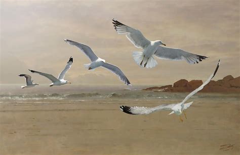 Seagulls Flying Along The Beachfront By M Spadecaller In 2021