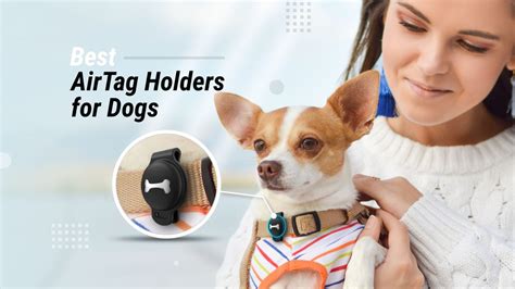 10 Best Airtag Holders For Dogs Techtouchy