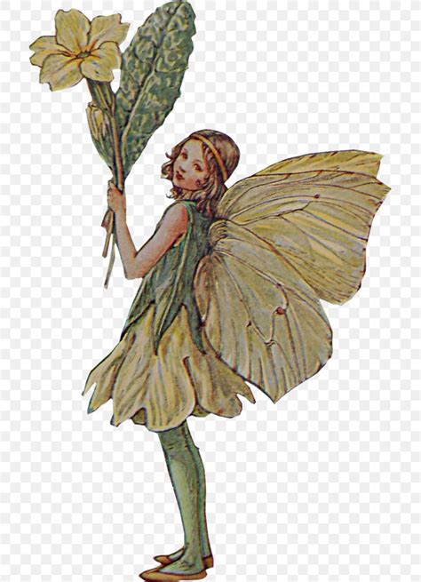 Fairy The Book Of The Flower Fairies Pixie Png 705x1134px Fairy