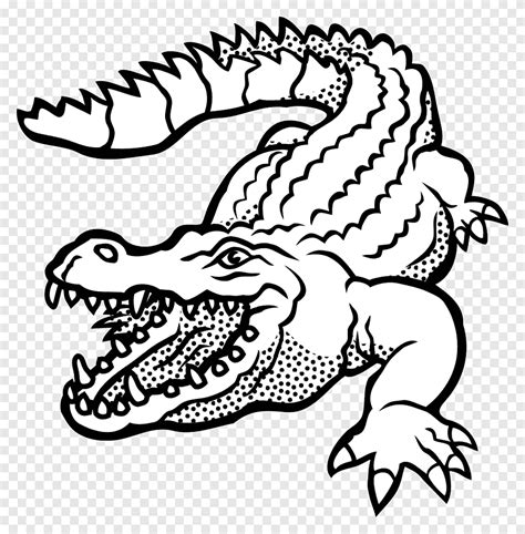 Alligatorer Krokodilklipp Ritning Krokodil Alligator Alligatorer Png