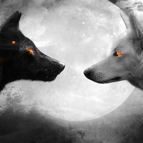 • art black and white wolf cool perfect hipster indie moon grunge galaxy stars beautifull luna teenager90s •. Black and White Wolf Wallpaper Engine | Download Wallpaper ...