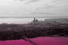 Rent A Room With A View Explore Stunning Apartments In Seattles Hottest Neighborhoods