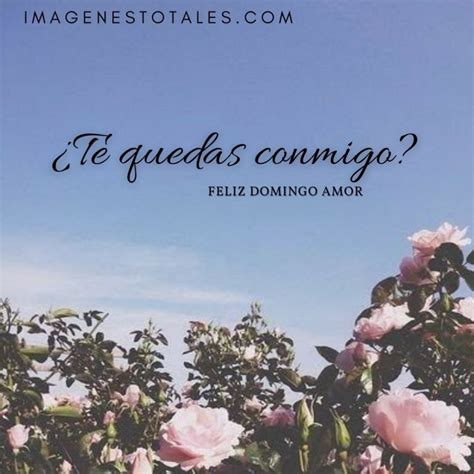 Feliz Domingo Amor Frases Mensajes Para Saludar A Tu Amor Imágenes