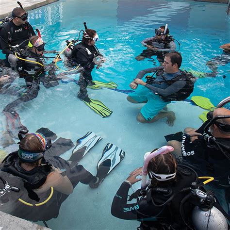 Dive Training And Equipment Divers Alert Network