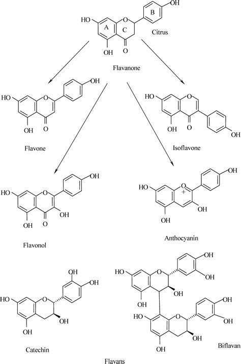 Molecules Free Full Text Litchi Flavonoids Isolation