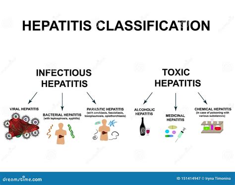 Tipos De Hepatitis Viral Hepatitis A B C D E F G Da De La