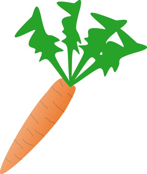 Download Carrot Vegetable Fresh Royalty Free Vector Graphic Pixabay