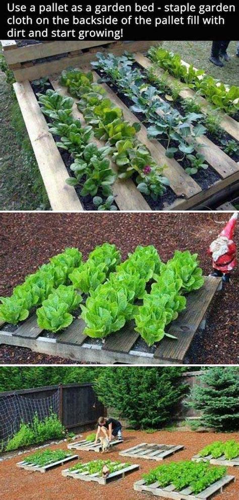 The Secrets To Growing A Vegetable Garden In Small Space