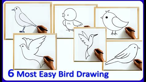 6 Most Easy Bird Drawing Amazing Easy Bird Drawing Tutorial Youtube