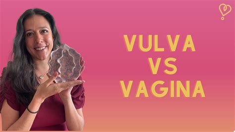 Cu L Es La Diferencia Entre Vulva Y Vagina Youtube