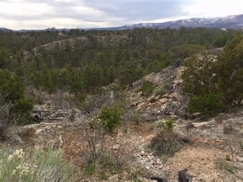 Great Hikes Canyon Rim Trail Los Alamos New Mexico Hubpages