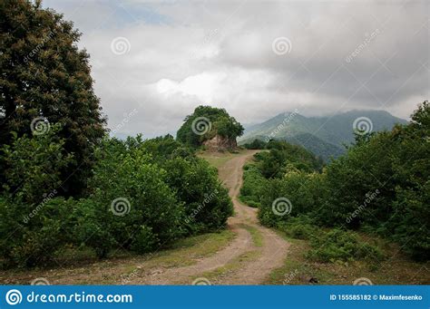 Landscape With Mountain Road In A Woods Stock Photo Image Of