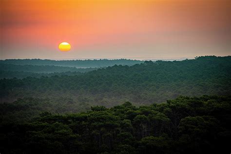 Sunset Forest From The Dune Du Pilat The Biggest Sand Dune In Photograph By Jean Bernard Nadeau