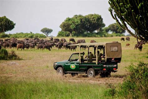 Uganda Wildlife Safari Guide And Trip Plan Africanmecca Safaris