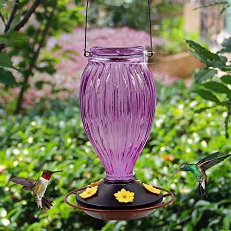 Juegoal Glass Hummingbird Feeders For Outdoors 37 Oz Wild Bird Feeder 5 Feeding Ports Bud