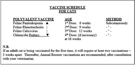 Pet Care Vaccination Schedules For Dogs And Cats Guyana Times