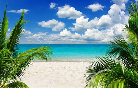 Wallpaper Sand Sea Beach The Sky The Sun Tropics Palm Trees The