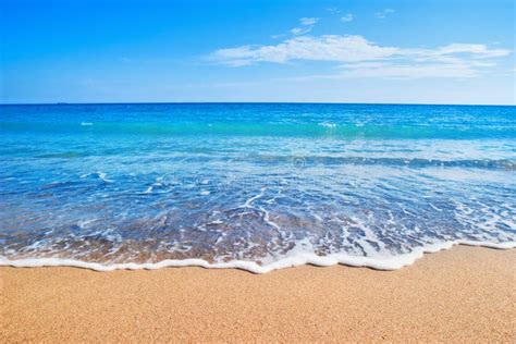 6068345 Beach Stock Photos Free And Royalty Free Stock Photos From