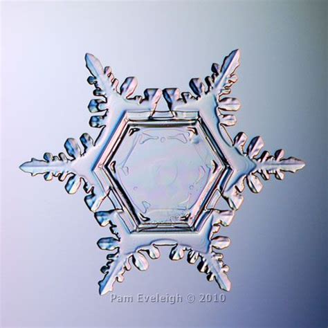 Sc9470 By Pam Eveleigh Snowflake Photos Snow Crystal Winter