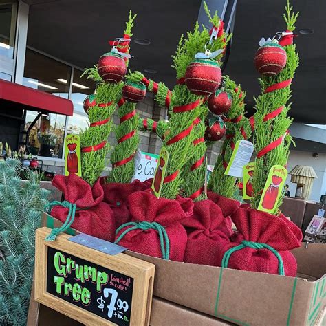 Trader Joes Is Selling Adorable Mini Grinch Inspired Christmas Trees