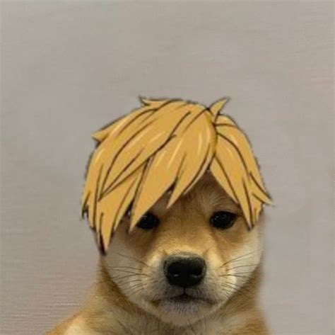 Atsumu Dog Icon Dog Icon Anime Dogs Puppy Anime