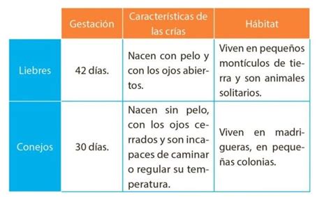 Cuadro Comparativo De Dos Entradas Cios Kulturaupice