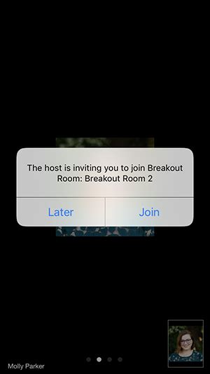 10 tips to keep cybercriminals out. Participating in Zoom Breakout Rooms - iOS - VCFA