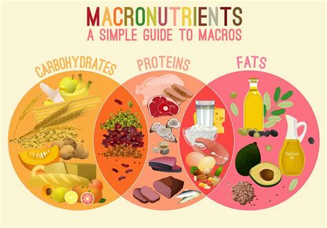 What Are Macronutrients Everything You Need To Know