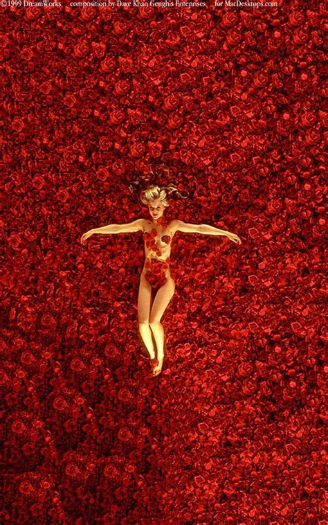 Mena Suvari American Beauty Poster American Beauty Star Mena Suvari Ist Schwanger Mena