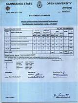 Lucknow University Degree Verification Photos