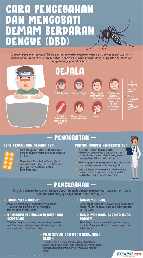 Infografik Cara Pencegahan Dan Mengobati Demam Berdarah Dengue Dbd