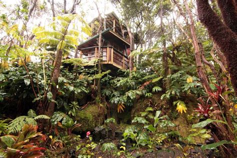 One of the cabins in nāmakanipaio campground. Treehouse at Kilauea Volcano - Treehouses for Rent in ...