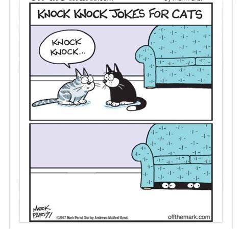 Cat Jokes Funny Cat Memes Funny Cartoons Funny Comics Funny Cats