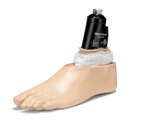Endolite Echeloner Prosthetics Hydraulic Ankle Foot At Best Price In