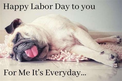 A Collection Of The Best Labor Day Memes