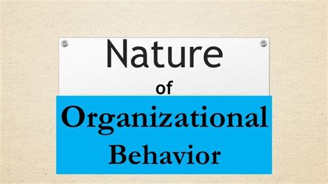 Nature Of Organisational Behaviour